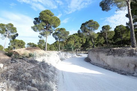 Terra a Lorca, Murcia, Lorca - € 55.000 | Ref: PlotLorca - foto 6