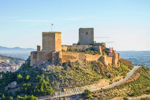 Terra a Lorca, Murcia, Lorca - € 55.000 | Ref: PlotLorca - foto 7