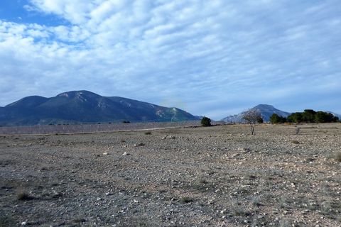 Terra a Lorca, Murcia, Lorca - € 55.000 | Ref: PlotLorca - foto 10