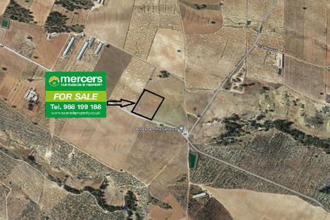 Terra a Lorca, Murcia, Lorca - € 55.000 | Ref: PlotLorca - foto 12