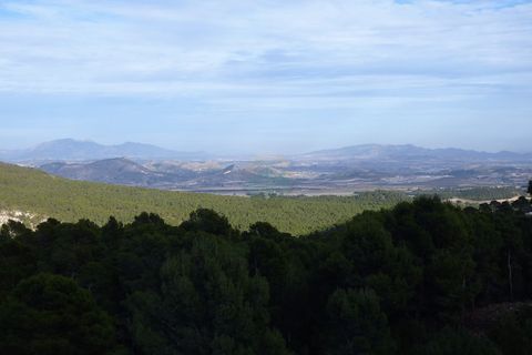 Terra a Lorca, Murcia, Lorca - € 55.000 | Ref: PlotLorca - foto 16