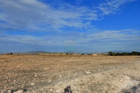 Terra a Lorca, Murcia, Lorca - € 55.000 | Ref: PlotLorca - foto 17