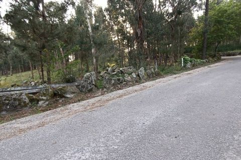 Helårsgrund i Vila Verde, Braga, Vila Verde - € 120.000 | Ref: MDS3685 - foto 6