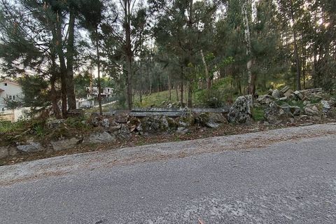 Helårsgrund i Vila Verde, Braga, Vila Verde - € 120.000 | Ref: MDS3685 - foto 10