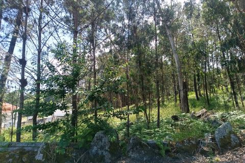 Helårsgrund i Vila Verde, Braga, Vila Verde - € 120.000 | Ref: MDS3685 - foto 5