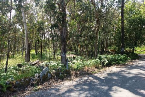 Helårsgrund i Vila Verde, Braga, Vila Verde - € 120.000 | Ref: MDS3685 - foto 7