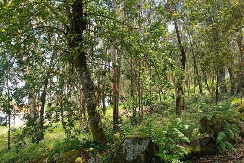 Helårsgrund i Vila Verde, Braga, Vila Verde - € 120.000 | Ref: MDS3685 - foto 9