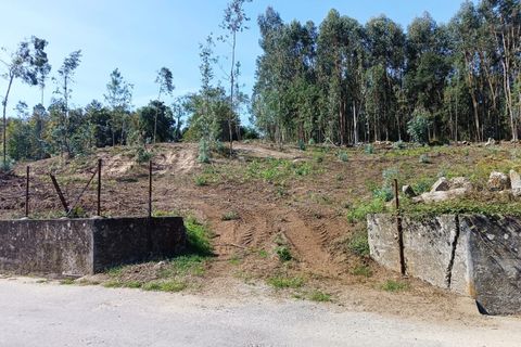 Helårsgrund i Vila Verde, Braga, Vila Verde - € 120.000 | Ref: MDS3685 - foto 2