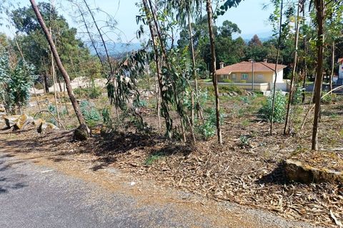 Helårsgrund i Vila Verde, Braga, Vila Verde - € 120.000 | Ref: MDS3685 - foto 11