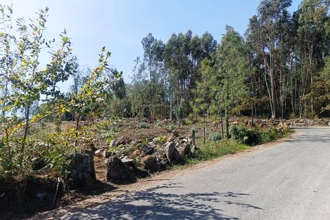 Helårsgrund i Vila Verde, Braga, Vila Verde - € 120.000 | Ref: MDS3685 - foto 14