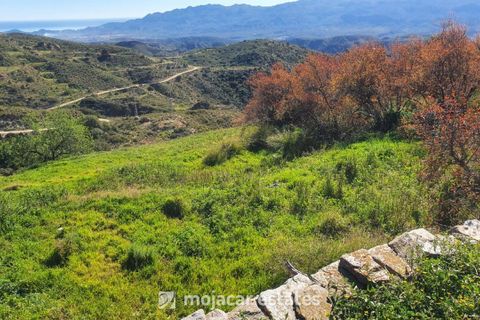 Ruïna a Bedar, Almeria, Bedar - € 75.000 | Ref: ME 2497 - foto 9