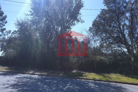 Helårsgrund i Barcelos, Braga, Barcelos - € 90.000 | Ref: 272T00891 - foto 8
