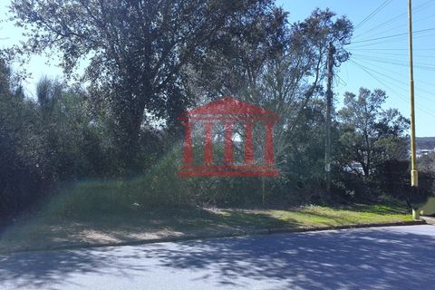 Helårsgrund i Barcelos, Braga, Barcelos - € 90.000 | Ref: 272T00891 - foto 13