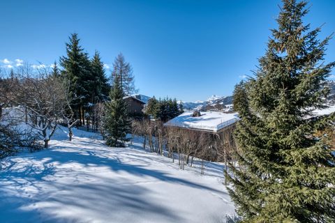 Lejlighed i Megève, Haute-Savoie, Megève - € 2.730.000 | Ref: DAVBS 2028H - foto 9