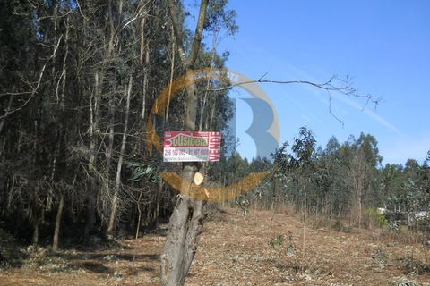 Helårsgrund i Ovar, Aveiro, Ovar - € 75.000 | Ref: T/0075 - foto 2