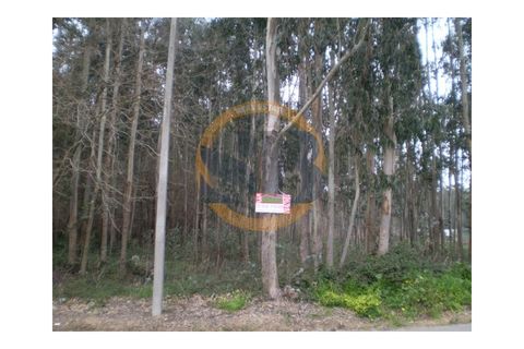 Helårsgrund i Ovar, Aveiro, Ovar - € 75.000 | Ref: T/0075 - foto 4