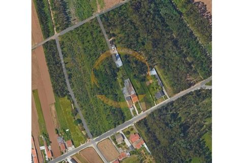 Helårsgrund i Ovar, Aveiro, Ovar - € 75.000 | Ref: T/0075 - foto 5