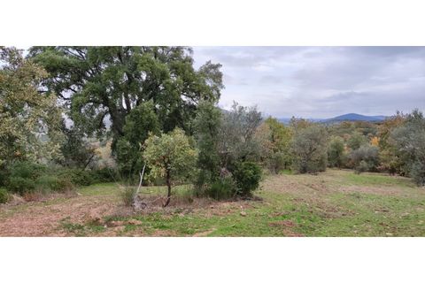 Terra a A do Bispo, Castelo Branco, A do Bispo - € 23.000 | Ref: SÒL_136 - foto 2