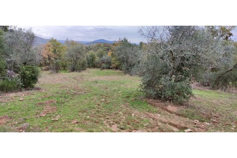 Terra a A do Bispo, Castelo Branco, A do Bispo - € 23.000 | Ref: SÒL_136 - foto 3