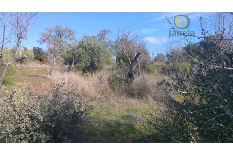 Helårsgrund i Alte, Faro, Alte - € 26.000 | Ref: TR12752 - foto 2