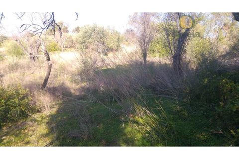 Helårsgrund i Alte, Faro, Alte - € 26.000 | Ref: TR12752 - foto 3