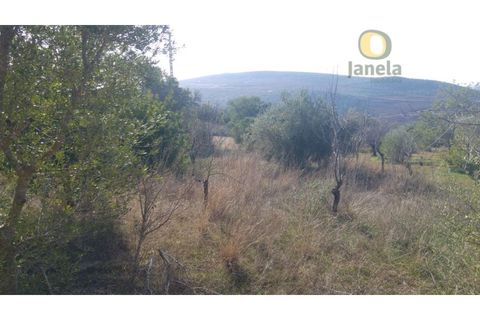 Helårsgrund i Alte, Faro, Alte - € 26.000 | Ref: TR12752 - foto 5