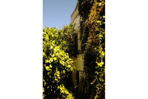 Villa i Quelfes, Faro, Quelfes - € 425.000 | Ref: MO12179 - foto 4
