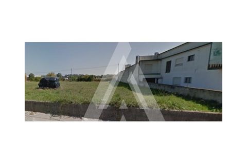 Terra a Arouca, Aveiro, Arouca - € 60.000 | Ref: 1030571/22 BL - foto 18
