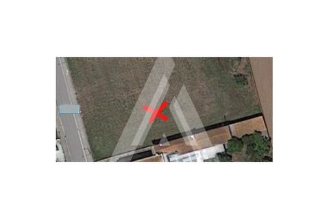Terra a Arouca, Aveiro, Arouca - € 60.000 | Ref: 1030571/22 BL - foto 22
