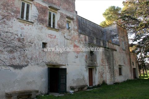 Farm hus i Squinzano, Lecce, Squinzano - € 330.000 | Ref: CA534 - foto 3