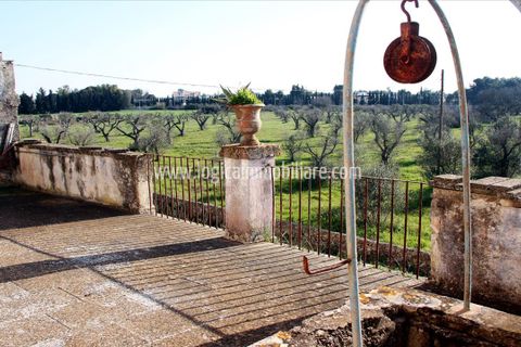 Farm hus i Squinzano, Lecce, Squinzano - € 330.000 | Ref: CA534 - foto 9