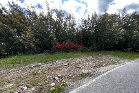 Helårsgrund i Viseu, Viseu, Viseu - € 55.000 | Ref: 189222104 - foto 3