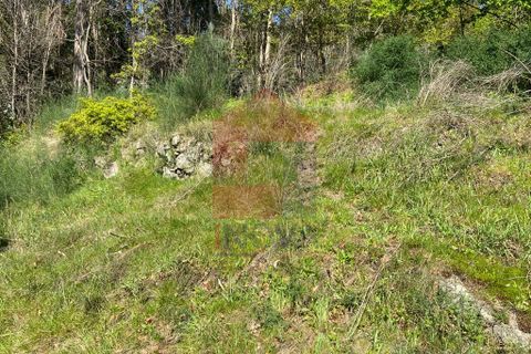 Byhus i Vila Verde, Braga, Vila Verde - € 56.500 | Ref: 07604 - foto 21