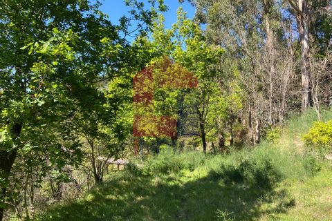 Byhus i Vila Verde, Braga, Vila Verde - € 56.500 | Ref: 07604 - foto 23