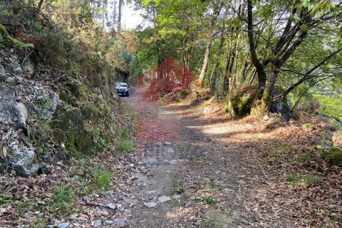 Byhus i Vila Verde, Braga, Vila Verde - € 56.500 | Ref: 07604 - foto 37