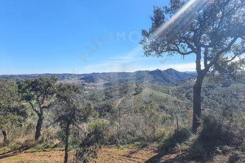 Farm i Colos, Beja, Colos - € 700.000 | Ref: PT03Q-0034 - foto 1