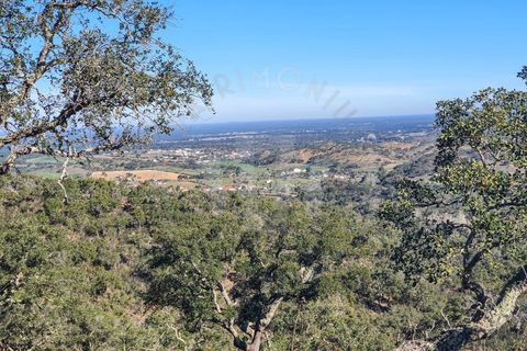 Farm i Colos, Beja, Colos - € 700.000 | Ref: PT03Q-0034 - foto 2