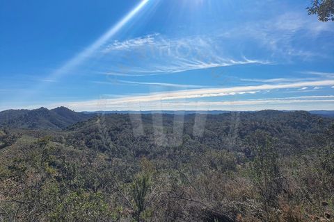 Farm i Colos, Beja, Colos - € 700.000 | Ref: PT03Q-0034 - foto 5