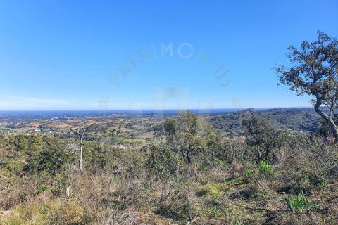 Farm i Colos, Beja, Colos - € 700.000 | Ref: PT03Q-0034 - foto 7