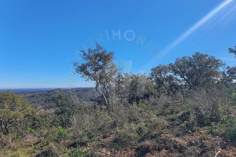 Farm i Colos, Beja, Colos - € 700.000 | Ref: PT03Q-0034 - foto 8
