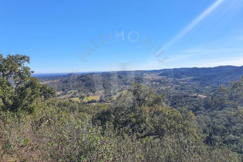 Farm i Colos, Beja, Colos - € 700.000 | Ref: PT03Q-0034 - foto 10