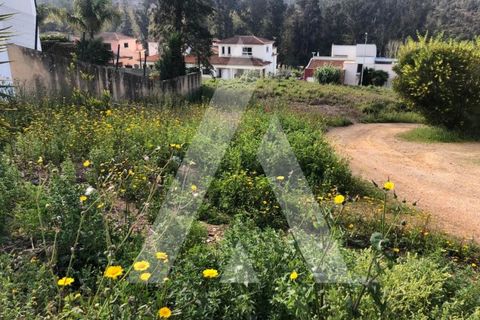 Helårsgrund i Agueda, Aveiro, Agueda - € 44.000 | Ref: 1050871/22 OB - foto 2