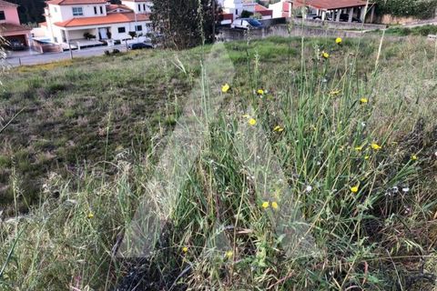 Helårsgrund i Agueda, Aveiro, Agueda - € 22.000 | Ref: 1050872/22 OB - foto 2