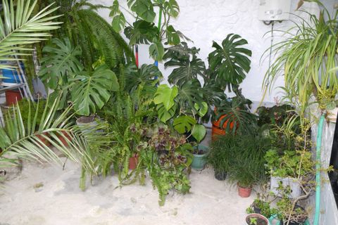 Byhus i Olvera, Cadiz, Olvera - € 66.000 | Ref: z475 - foto 7