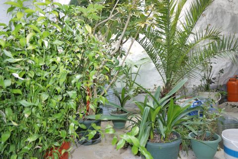 Byhus i Olvera, Cadiz, Olvera - € 66.000 | Ref: z475 - foto 10