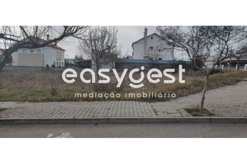 Helårsgrund i Castelo Branco, Castelo Branco, Castelo Branco - € 26.000 | Ref: CB87778MA - foto 2