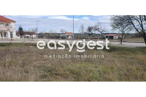 Helårsgrund i Castelo Branco, Castelo Branco, Castelo Branco - € 26.000 | Ref: CB87778MA - foto 3