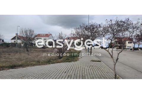 Helårsgrund i Castelo Branco, Castelo Branco, Castelo Branco - € 26.000 | Ref: CB87778MA - foto 7