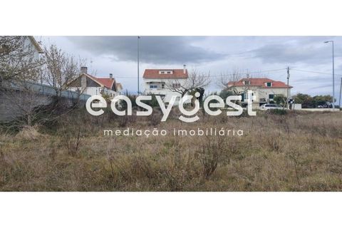 Helårsgrund i Castelo Branco, Castelo Branco, Castelo Branco - € 26.000 | Ref: CB87778MA - foto 9