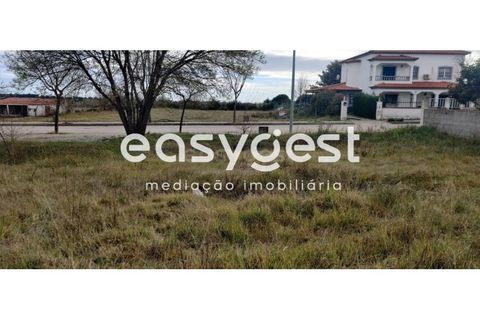 Helårsgrund i Castelo Branco, Castelo Branco, Castelo Branco - € 26.000 | Ref: CB87778MA - foto 10